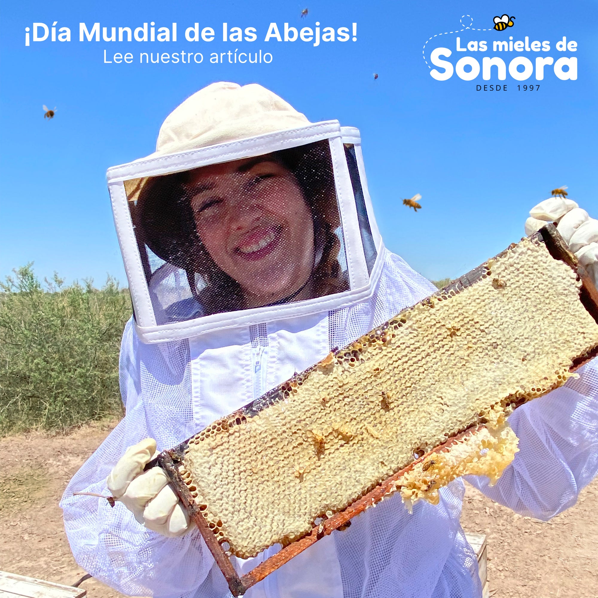 Celebrando el Día Mundial de las Abejas: La Importancia de Proteger a Nuestros Polinizadores y el Compromiso de Las Mieles de Sonora