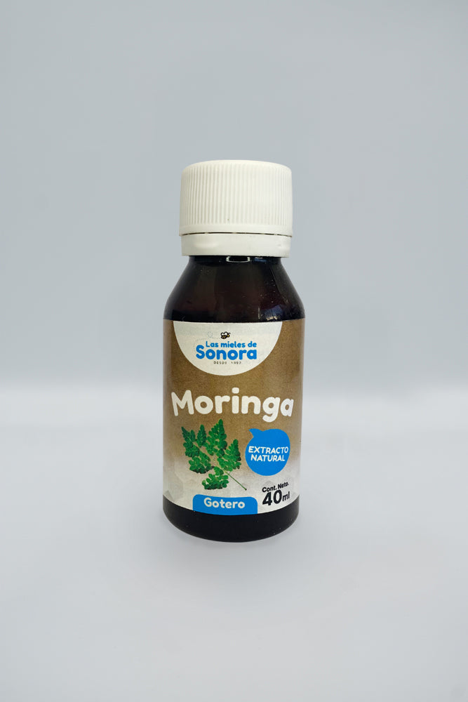 Extracto Moringa 40 ml