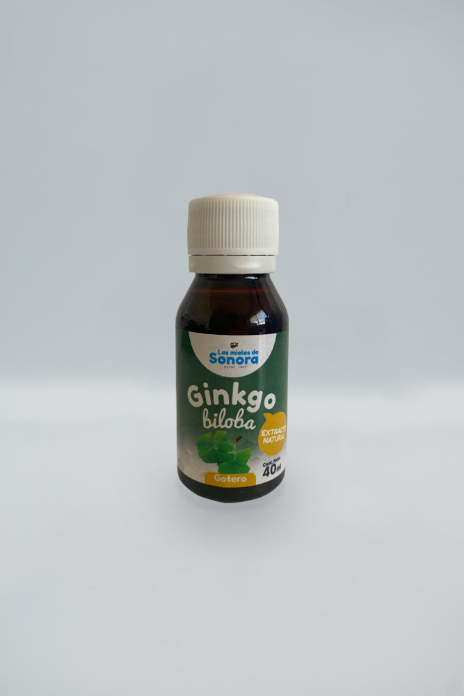 Extracto Ginkgo biloba 40 ml